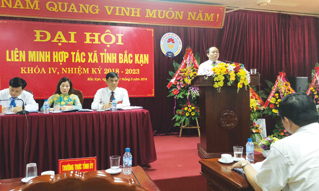 Bắc Kạn phấn đấu thành lập thêm 100 HTX trong 5 năm tới