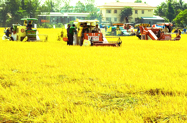 Hà Giang dồn lực phát triển NTM năm 2018