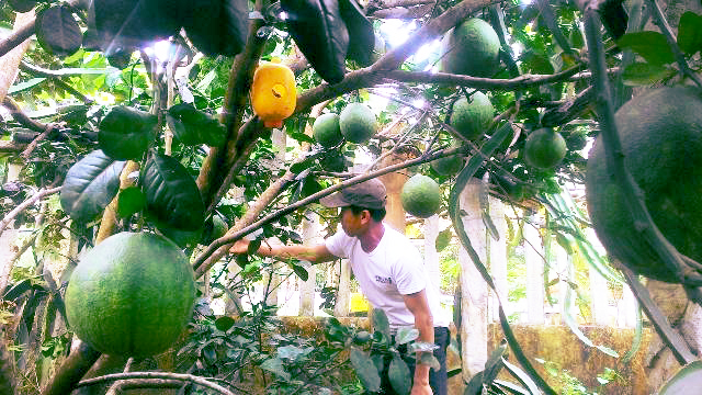 Điểm tựa làm giàu cho nông dân