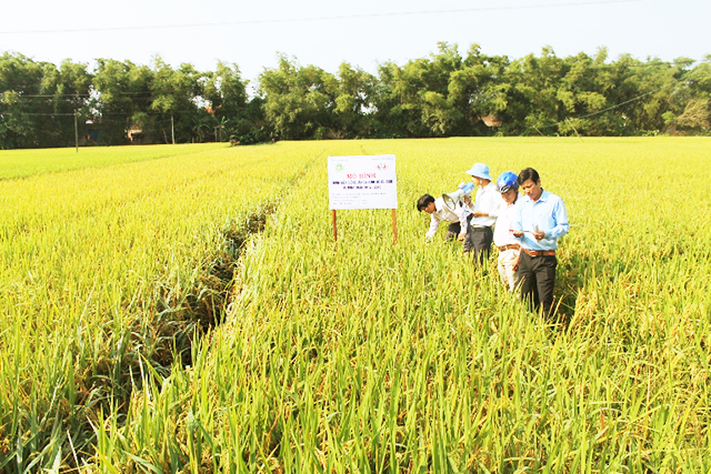 “Tam nông” ở miền đất võ