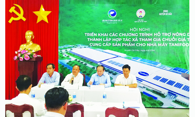 Huyện Gò Dầu tái cơ cấu nông nghiệp bằng chuỗi giá trị