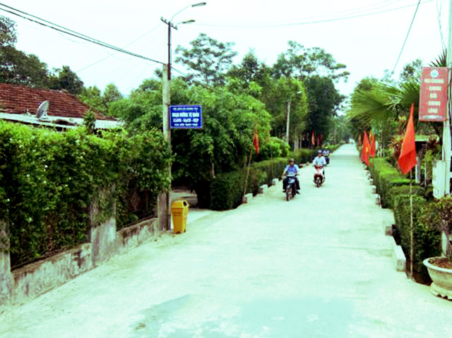 Khởi sắc diện mạo nông thôn mới ở Đức Thọ