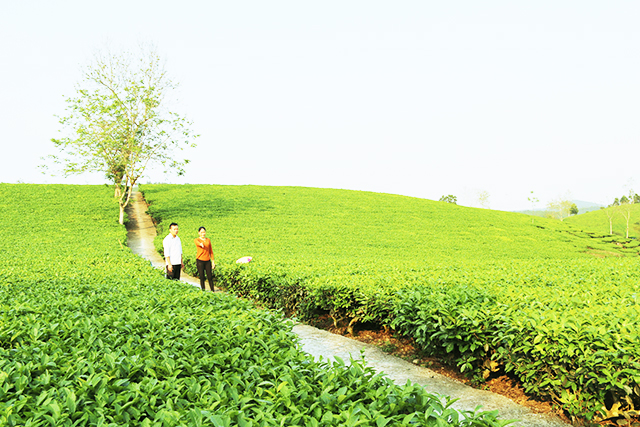 Yên Lập chuyển động không ngừng từ nông thôn mới