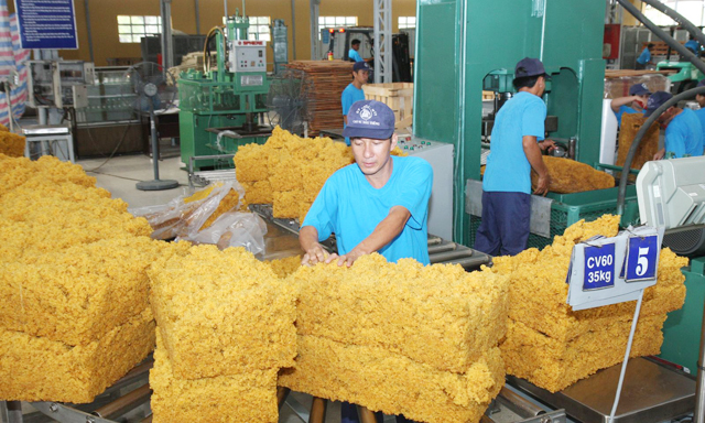 Xuất khẩu cao su chịu nhiều áp lực từ CPTPP
