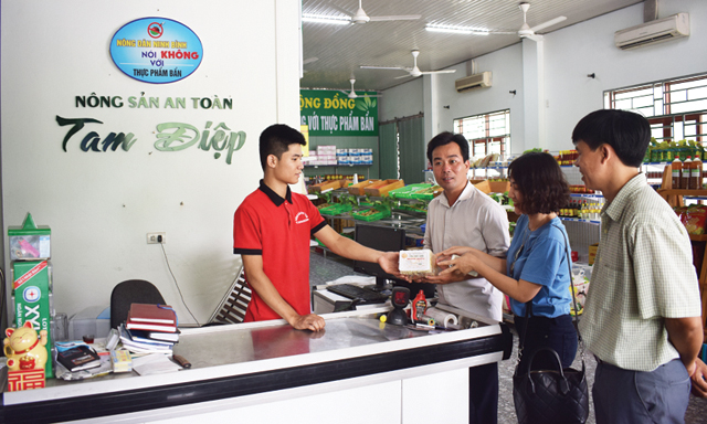 Liên kết HTX có quy mô ở Ninh Bình