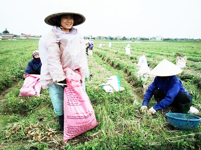 Nỗ lực xây dựng NTM ở Thạch Lỗi