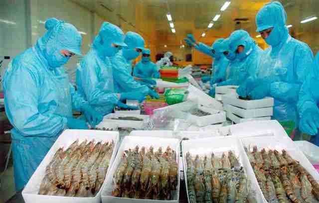 Bất cập doanh nghiệp thủy sản phải nộp thuế phế liệu, phế phẩm