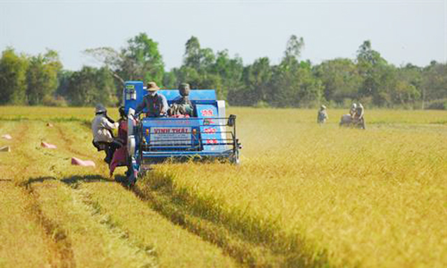 HTX Rạch Lọp (Trà Vinh): Chuyên nghiệp hơn, an toàn hơn