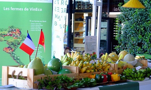 VinEco gây ấn tượng tại chợ đầu mối lớn nhất thế giới