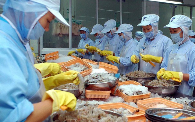 Tôm tạm thời bị cấm xuất khẩu sang Kuwait