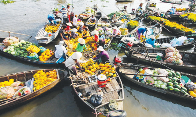 ktht-ca-mau-JPG-3901-1531148926.jpg