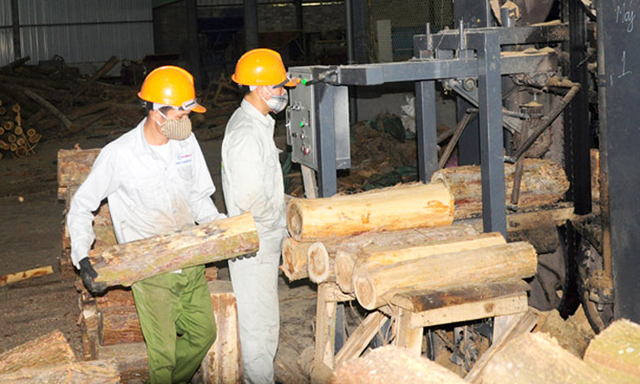 HTX Quang Phong khởi nghiệp từ sức trẻ