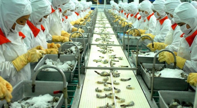 Tăng kiểm soát chất lượng thủy sản xuất khẩu sang Hàn Quốc