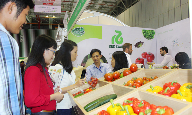 Nhập khẩu trước những mối lo!