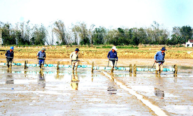 Thăng Bình chuyển biến đồng bộ trong phát triển tam nông