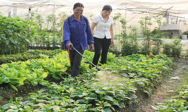 Gian nan gây dựng thương hiệu thực phẩm an toàn