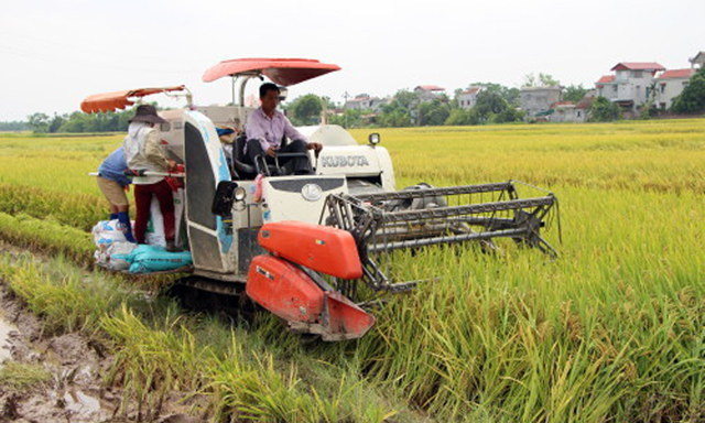 HTX An Ninh Tây sản xuất hàng hóa, liên kết thành viên