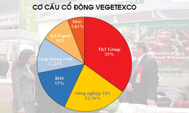 vegetexco-JPG-6357-1531924749.jpg