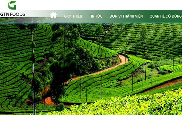 Chuyện gì đang xảy ra tại GTN?