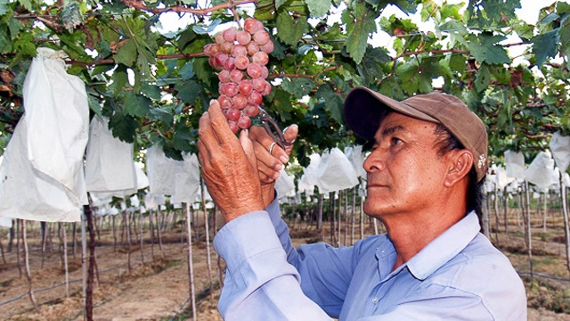 HTX Evergreen: Xây dựng thương hiệu nhờ sản xuất bền vững