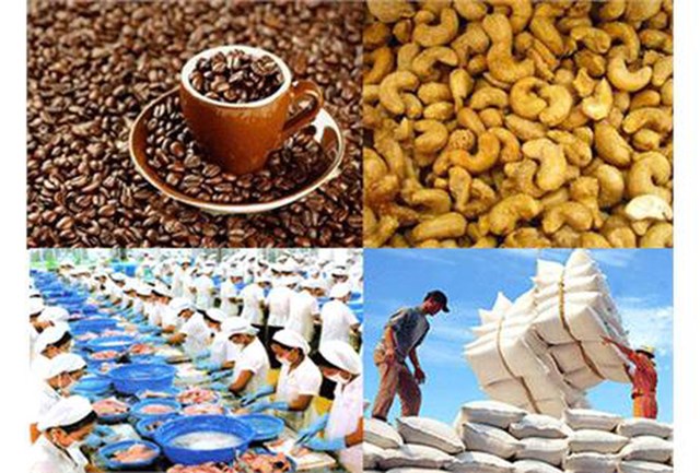 Khuyến cáo doanh nghiệp không làm ăn với một công ty tại Ma-rốc