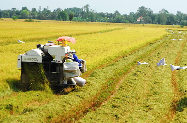 Giải pháp tích tụ, tập trung đất đai