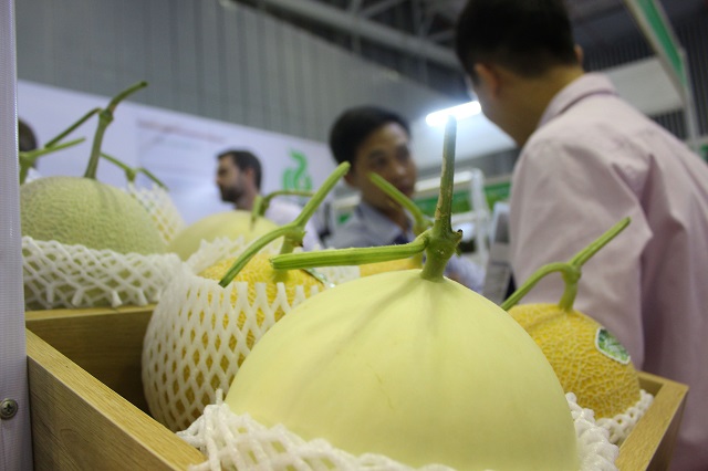 Doanh nghiệp nhỏ rời rạc trong liên kết chuỗi