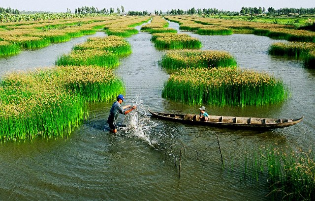 CSIRO giúp ĐBSCL nuôi tôm hữu cơ, sinh thái