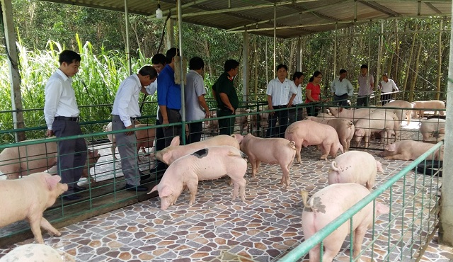 HTX Tân Hòa Phú: Sản phẩm sạch, sạch môi trường