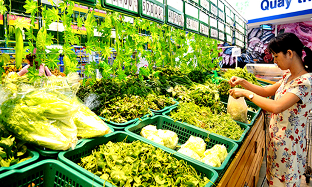 Vai trò KTHT Quảng Nam trong liên kết sản xuất nông nghiệp