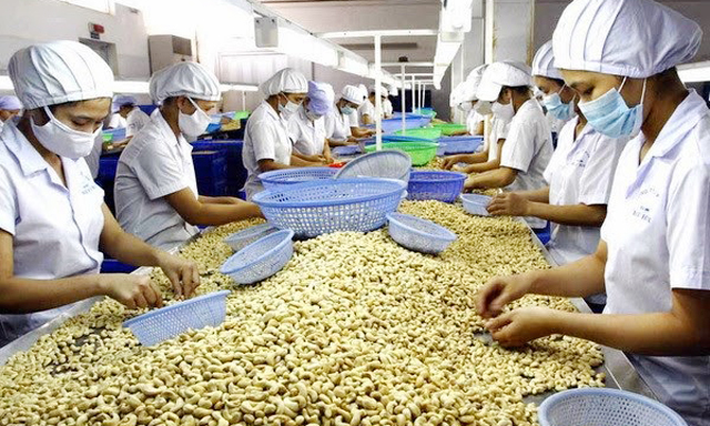 Xuất khẩu 'chênh vênh' vì phụ thuộc nguyên liệu nhập