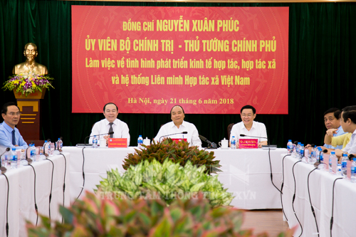Đẩy mạnh phát triển kinh tế hợp tác, hợp tác xã