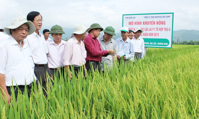 Tạo an toàn kép cho thành viên hợp tác xã