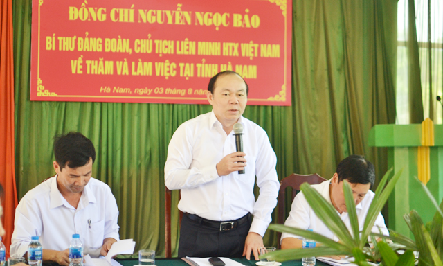 Liên minh HTX Hà Nam: Nhân sự ít nhưng thành tích vượt trội