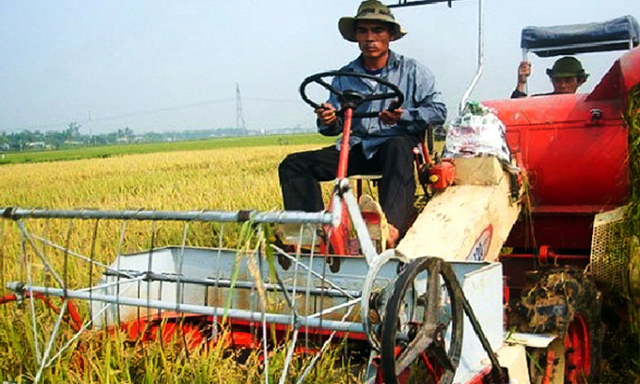 Hợp tác xã: 'Bà đỡ' cho nông dân Hòa Tiến