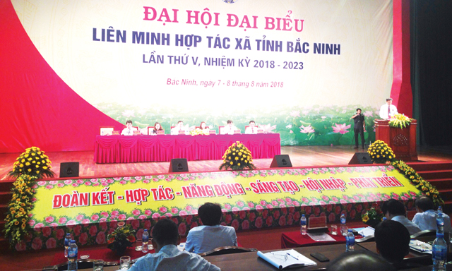 Đại hội V Liên minh HTX tỉnh Bắc Ninh: Tập trung đẩy mạnh phát triển KTHT, HTX