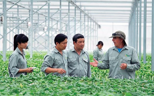 Nhà nước hỗ trợ các mô hình liên kết sản xuất nông nghiệp