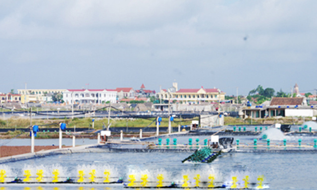 vung-nuoi-thuy-san-2335-1533744487.jpg