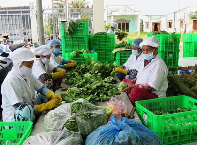 Tiền Giang: Chú trọng công tác bảo vệ môi trường
