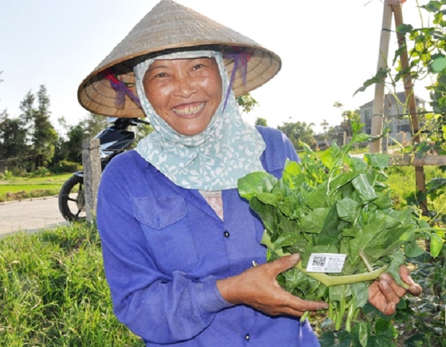 Minh bạch 'lý lịch' sản phẩm: Nâng tầm thương hiệu HTX
