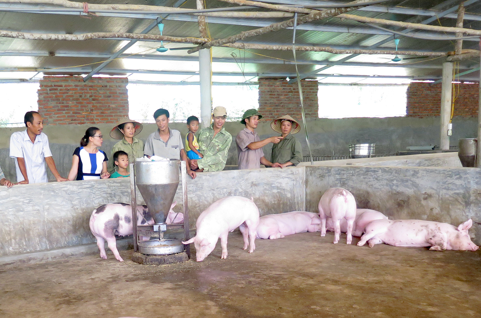 HTX Khiên Giang xây dựng thành công chuỗi giá trị chăn nuôi