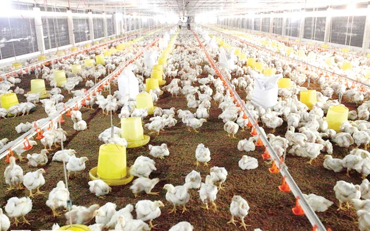 HTX Quân Vương sản xuất an toàn, cạnh tranh bằng chất lượng