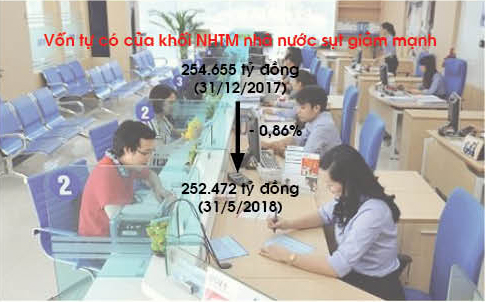 Bất ngờ với sự sụt giảm của 'chốt phòng thủ cuối cùng'