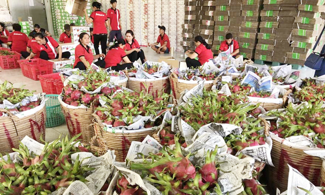Trái cây Việt lép vế ở thị trường khó tính