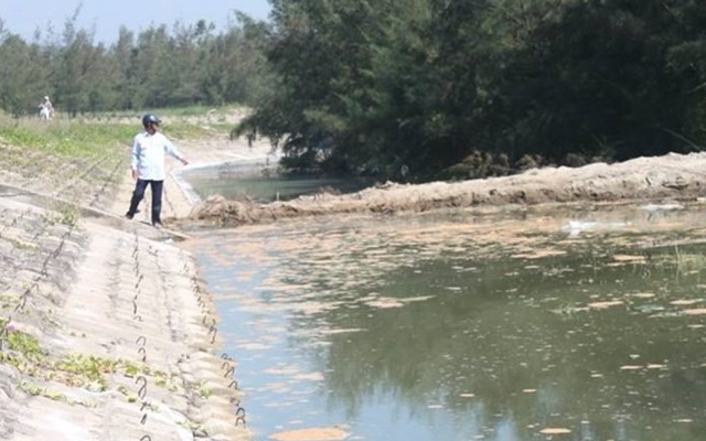 Hà Tĩnh đình chỉ hoạt động một công ty nuôi tôm vì xả thải ra biển