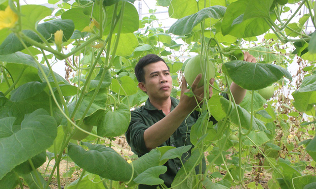 Thanh niên khởi nghiệp từ HTX: Sức sống mới của kinh tế hợp tác