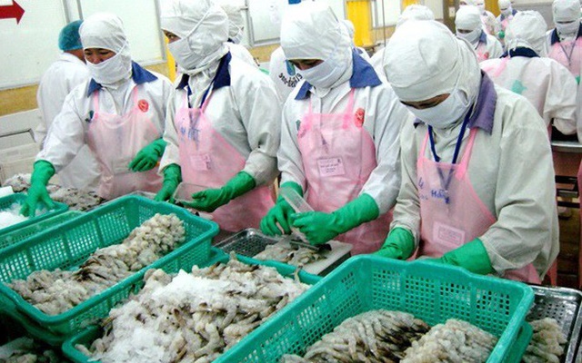 Sau cá tra, đến lượt tôm Việt Nam gặp khó vào Mỹ