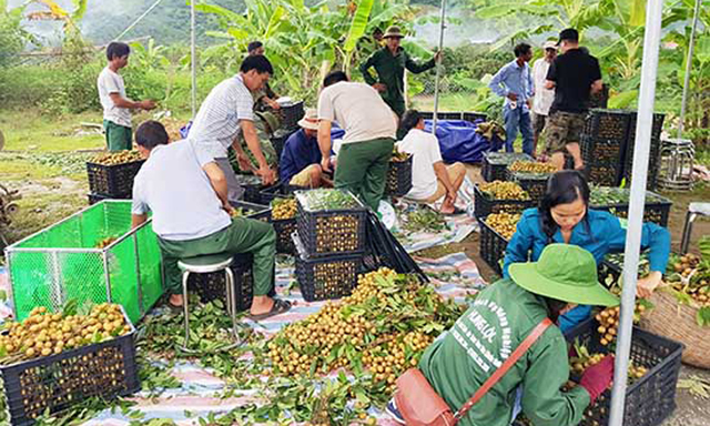 Sông Mã (Sơn La): Thêm nguồn lực, phát triển toàn diện HTX