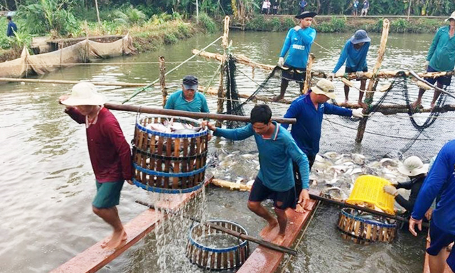 HTX Đại Thắng sản xuất an toàn, tạo nên khác biệt