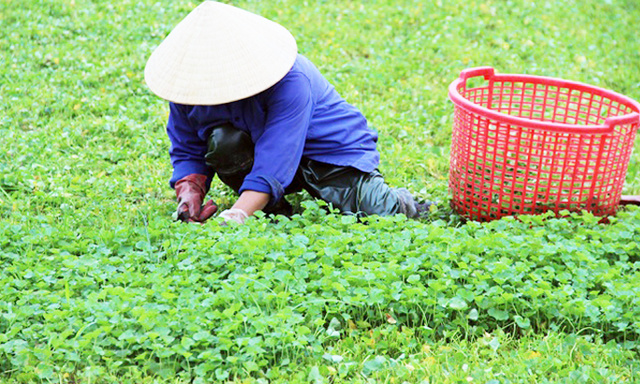 san-xuat-hieu-qua-JPG-5563-1535326209.jp